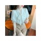 French Style Puff Sleeve Tie Neck Ladies Blouse