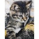 T shirt Tee Black White Blue Graphic Cat Print Short Sleeve Daily Weekend Vintage Round Neck Regular 3D Cat Painting S